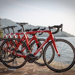 La Fuga Basso Diamante 2019 Rental Bike (11)